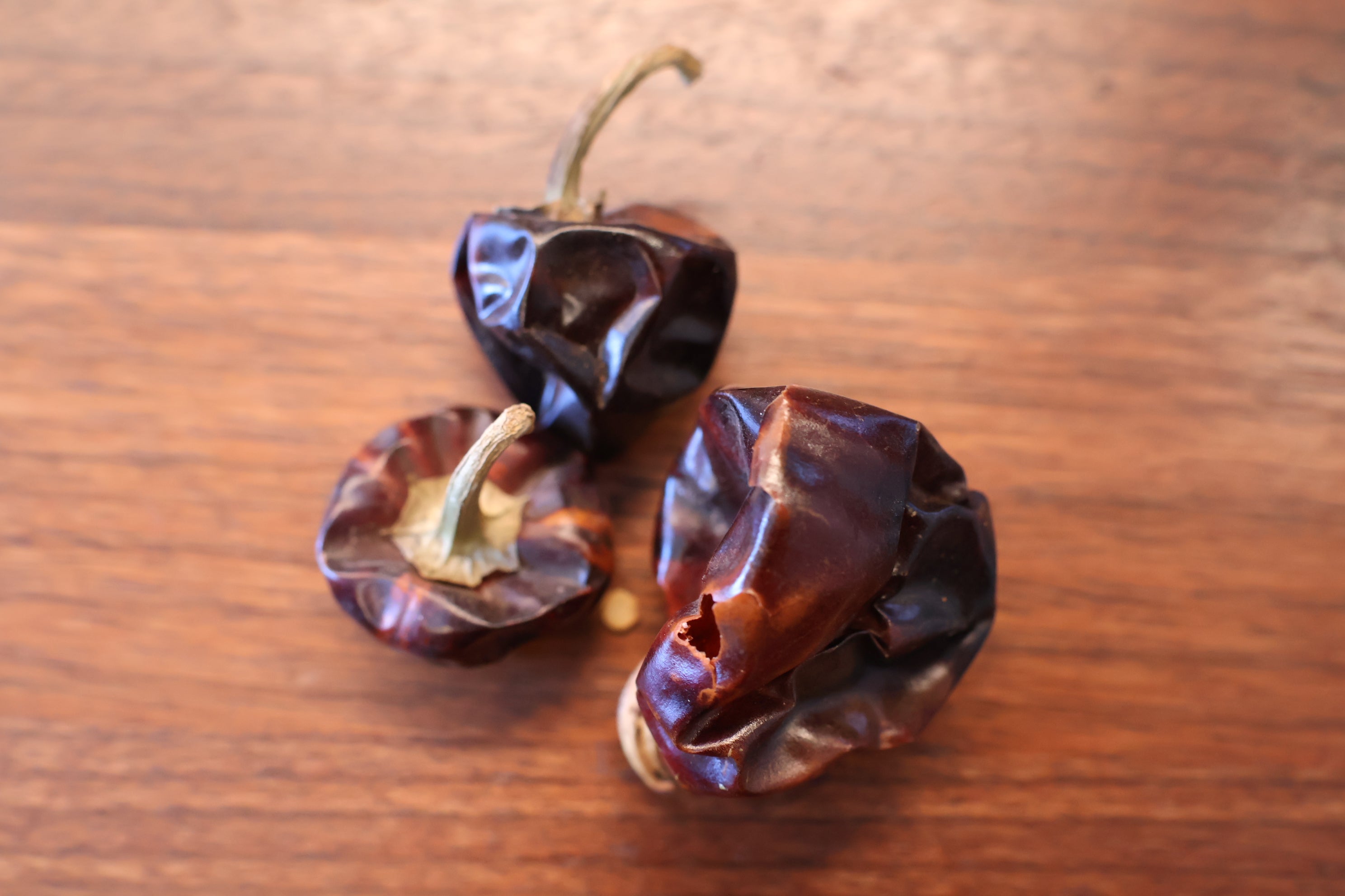 Chili Cascabel getrocnet für Sauce