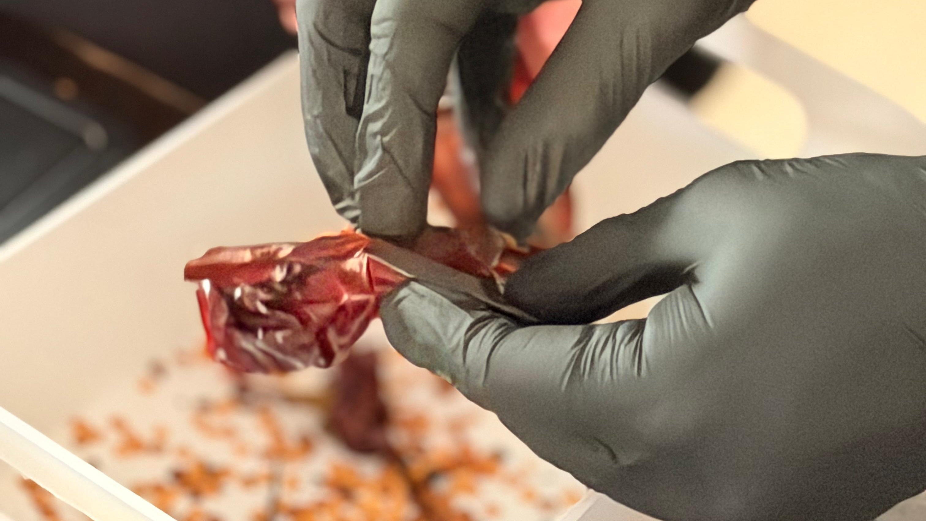 Getrocknete Chilis werden von den Kernen befreit